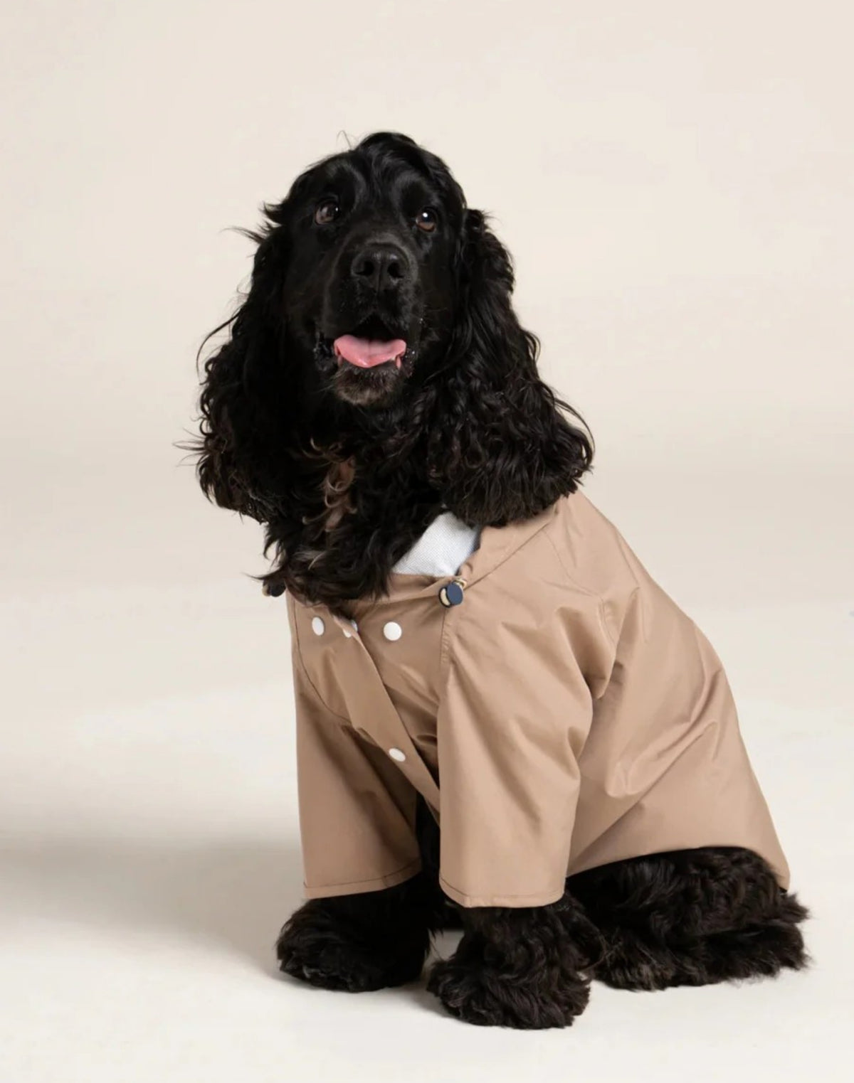 Dog Raincoat