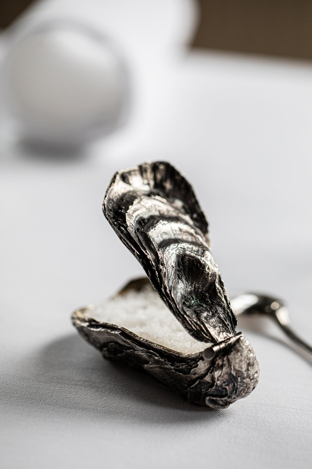 Silver Oyster Shell Sea Salt Cellar